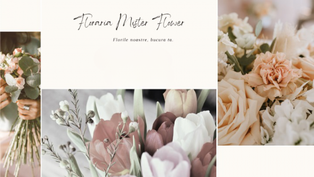 Floraria Mister Flower cover
