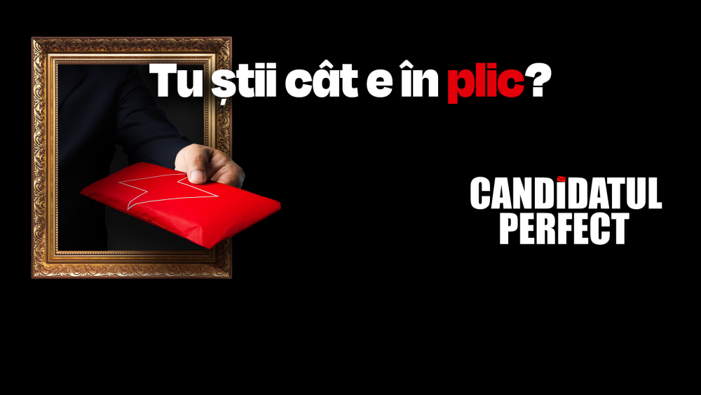 Candidatul Perfect cover image