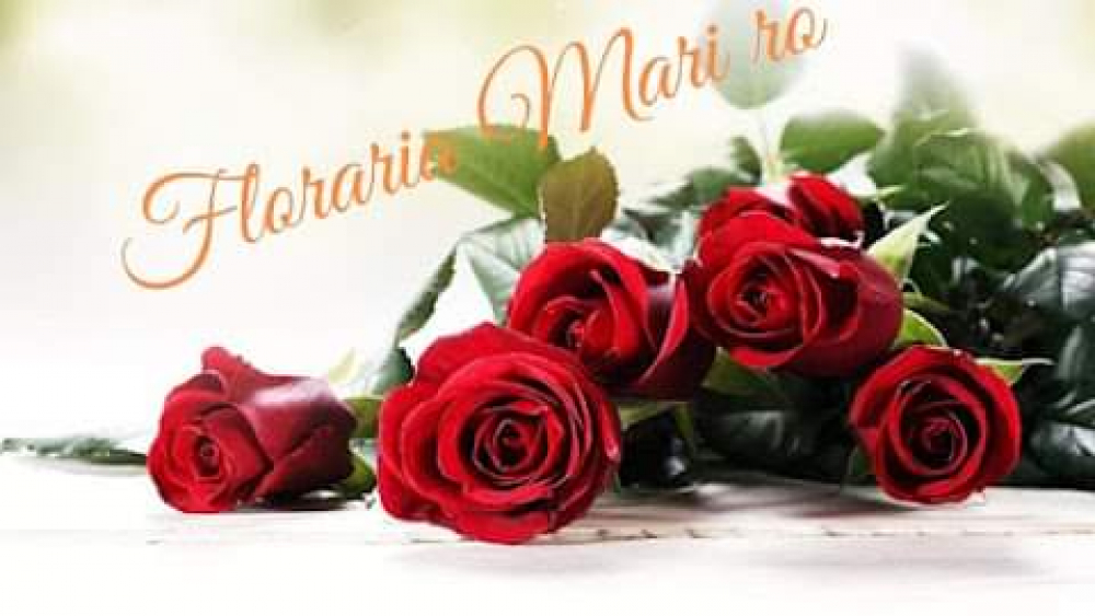 Floraria Mari cover