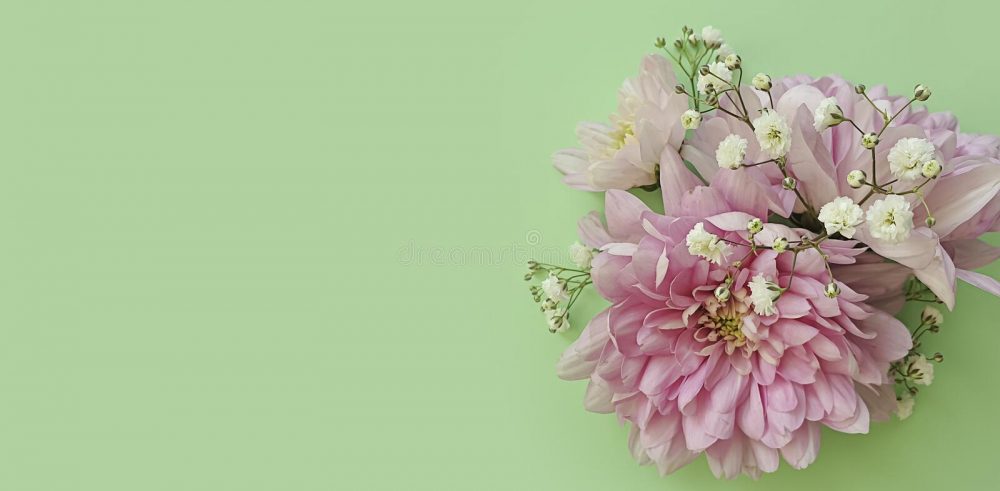 Floraria ELflora cover image