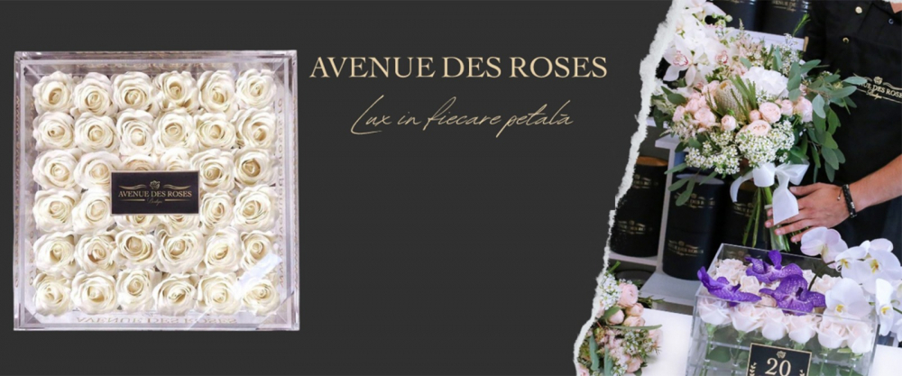 Avenue Des Roses Timisoara cover