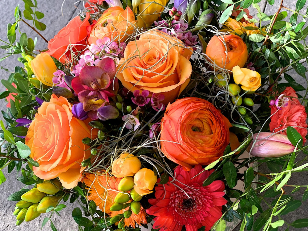 Mikflorar cover
