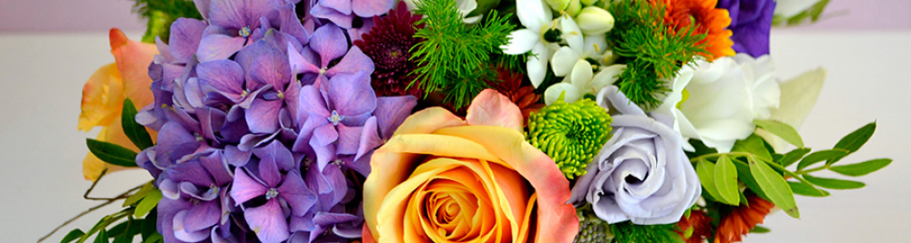 Tulipa Flower Shop Medias cover image