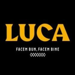 LUCA - Iasi logo