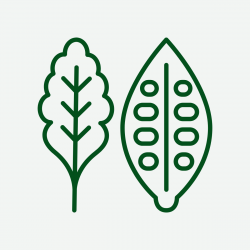 Green Kitchen logo