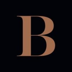 Bizo logo