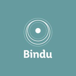 Bindu logo