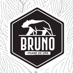 Bruno Pizza logo