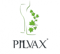 Pilvax logo