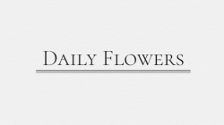 Daily Flowers Design - Corneliu Coposu logo