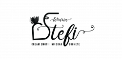Floraria Stefi logo
