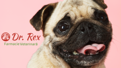 Farmacie Veterinara Dr Rex logo