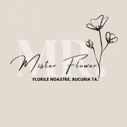 Floraria Mister Flower logo