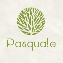 Pasquale - Napoca 27 logo