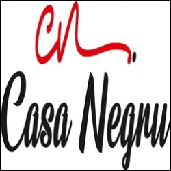 Casa Negru logo