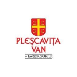 PLESKAVITA VAN - Street Food Festival logo