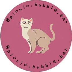 Picnic. Bubble. Bar logo