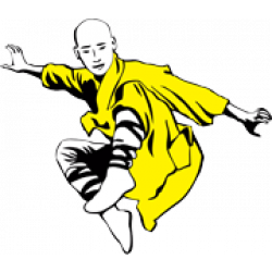 Kung Fu King Craiova logo