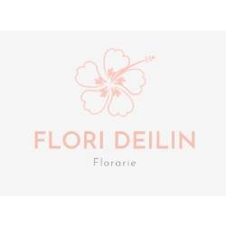 Floraria: FLORI DEILIN logo