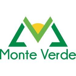 Monte verde logo