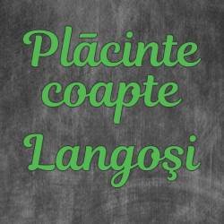 Placinte Coapte/ Langos logo