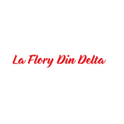 La Flory din Delta logo