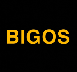 Bigos logo