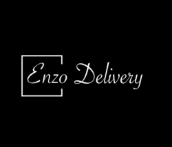 Enzo logo