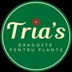 Floraria Tria`s Vitan logo