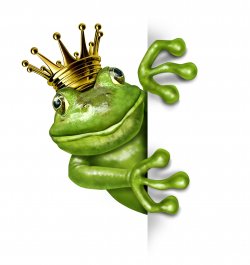 Crazy Frog logo