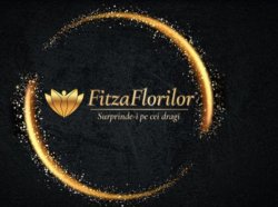 FITZA FLORILOR logo