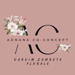 Adnana Flowers Concept logo