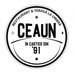 #ceaun logo