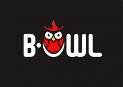 B-Owl logo