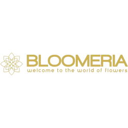 Bloomeria logo
