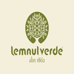 Lemnul Verde Vivo Shopping Center logo