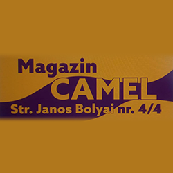 Camel logo