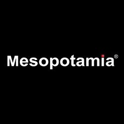 Mesopotamia - Vasile Milea Ploiesti logo