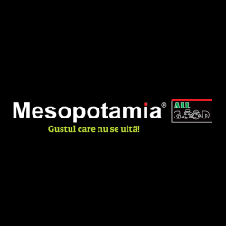 Mesopotamia Palas Mall logo