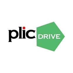Sali`s Plic Drive City logo