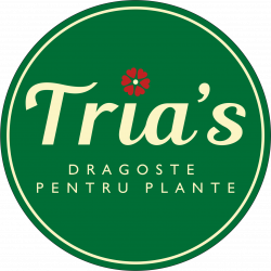 Floraria Tria`s Bucuresti logo