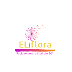 Floraria ELflora logo