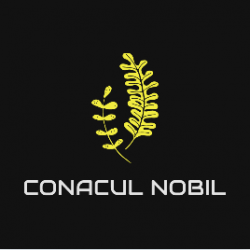 Conacul Nobil Pache logo