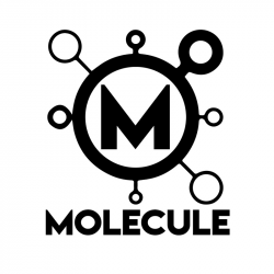 The molecule effect logo