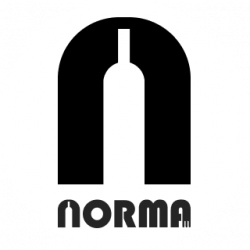 Norma Pentru Acasa logo