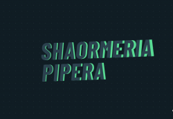 Shaormeria PIPERA logo