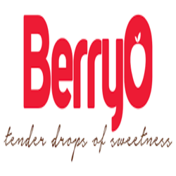 BerryO logo