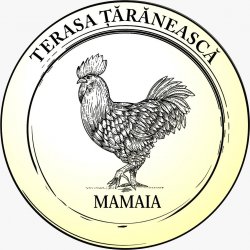 Terasa Taraneasca Pizza&Pasta logo
