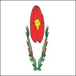 COMANA EXPRESS logo