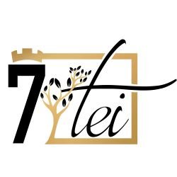 Pensiunea 7 Tei logo